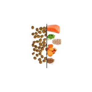 I and Love and You Naked Essentials Salmon and Trout Dry Cat Food - 3.4lbs