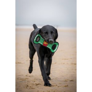 NCAA USC Trojans Field Dog Toy