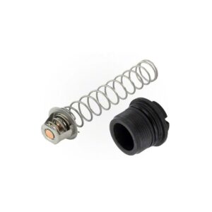 Pentair 77707-0010 Thermal Regulator Complete Replacement Part Kit Outdoor Pool and Spa Heater