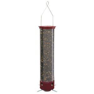 Droll Yankees Yankee Dipper Collapsing Straight Perch Squirrel Proof Bird Feeder - Red - 21"