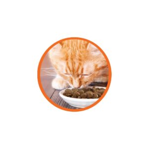 Iams Proactive Health with Chicken Senior Premium Dry Cat Food - 7lbs