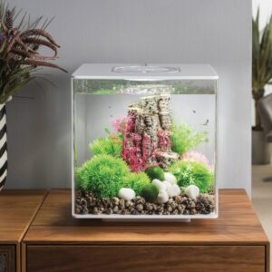 biOrb Moss Pebbles Aquarium Artificial Plants - Green