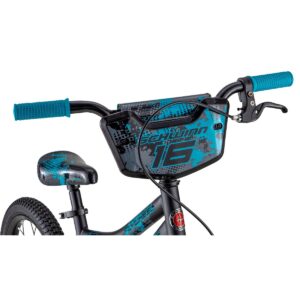 Schwinn Flywheel 16" Kids' Bike - Black