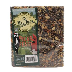 Home & Garden 7.38" Pecan Woodpecker Feast Set/2 Bird Large Cakes Feeding Mr Bird - Bird And Wildlife Food