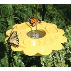 Birds Choice Flutterby Butterfly Bird Feeder - 12oz