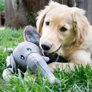 KONG Cozie Ultra Ella Elephant Dog Toy - M