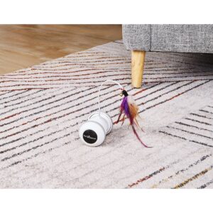 Pet Genius Smart Play Rover Cat Toy - White