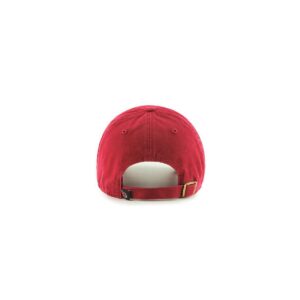 NFL Arizona Cardinals Vintage Cleanup Hat