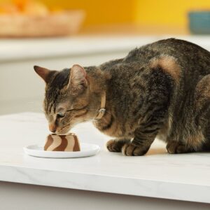 Meow Mix Tasty Layers Chicken and Tuna Recipe Wet Cat Food - 2.75oz