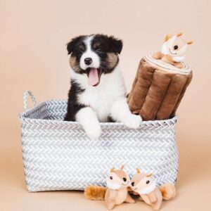 ZippyPaws Burrow Log Dog Toy