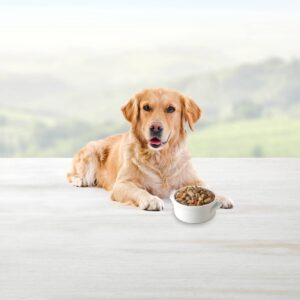 Blue Buffalo Blue's Stew Grain Free Country Chicken & Hearty Beef Wet Dog Food - 12.5oz/8ct Variety Pack
