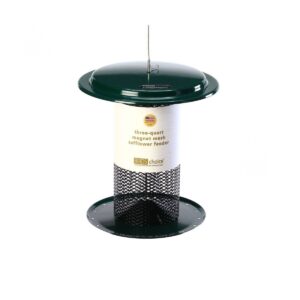 Birds Choice 3qt Magnet Mesh Safflower Bird Feeder - Green