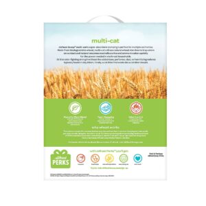 Wheat Scoop Multi-Cat Natural Cat Litter - 15lbs