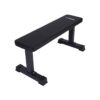 HolaHatha Steel Frame 600 Pounds Capacity Foam Padded Flat Weight Fitness Equipment Home Gym Freeweight Barbell Bench for Strength Training