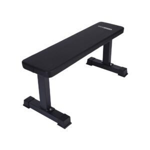 HolaHatha Steel Frame 600 Pounds Capacity Foam Padded Flat Weight Fitness Equipment Home Gym Freeweight Barbell Bench for Strength Training