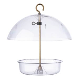 Droll Yankees Seed Saver Bird Feeder - Clear
