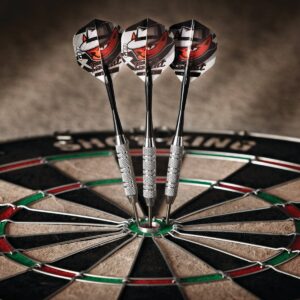 Fat Cat Darts in a Jar Steel Tip - 20gms