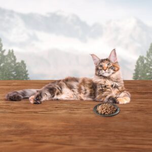 Blue Buffalo Wilderness Wild Delights Grain Free Flaked Chicken & Turkey In Tasty Gravy Premium Wet Cat Food - 5.5oz
