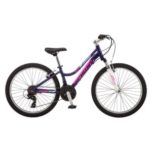 Schwinn Ranger 24" Kids' Mountain Bike - Purple