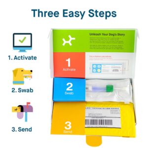 Embark Breed & Health Dog DNA Test