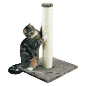 Parla Scratching Post Gray