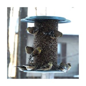 Birds Choice 3qt Magnet Mesh Safflower Bird Feeder - Green