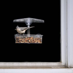 Droll Yankees Observer Window Feeder