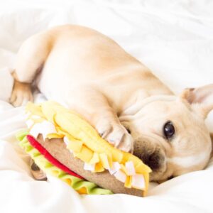 ZippyPaws NomNomz Taco Dog Toy