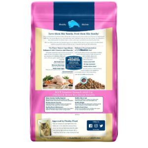 Blue Buffalo Sensitive Stomach Chicken & Brown Rice Recipe Adult Premium Dry Cat Food - 15lbs