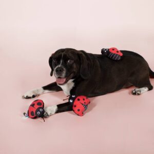 PetShop by Fringe Studio Lady Bug Set Dog Toys - 3pk