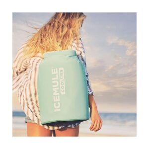 IceMule 1006 Classic Collapsible Portable Soft Sided Roll Top 20 Liter 18 Can Lightweight Insulated Waterproof Leak Proof Backpack Cooler Sling Bag