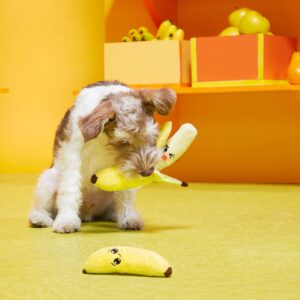 BARK Prudence and Imprudence the Bananas Dog Toy