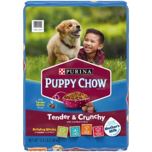 Purina Puppy Chow Tender & Crunchy with Real Beef & Rice Dry Dog Food - 18lbs