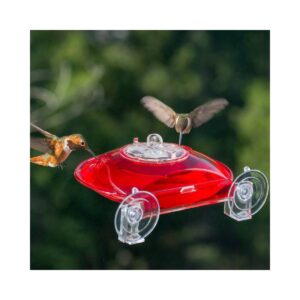 Droll Yankees WH-3 2 Flower Port Bird Feeder - 6oz