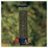 Droll Yankees Yankee Whipper Collapsing Curved Perch Squirrel Proof Bird Feeder - Blue - 21"