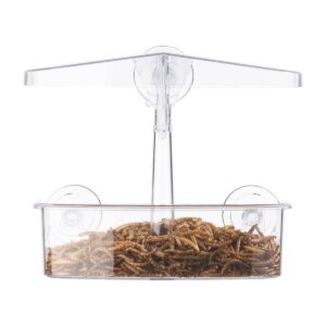 Droll Yankees Observer Window Feeder