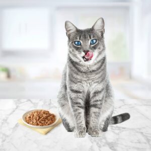 Blue Buffalo Tastefuls Adult Cat Tuna Entree in Gravy Flaked Wet Cat Food - 3oz