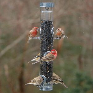 Droll Yankees Classic Sunflower Feeder with Ring Pull Advantage - Silver