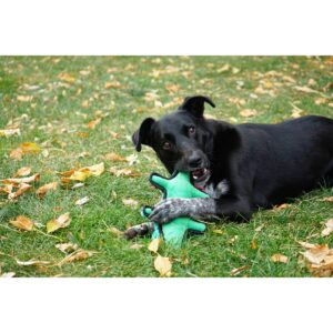 KONG Tough Plush Gator Dog Toy - Green