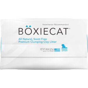 Boxiecat All Natural Scent-Free Premium Clumping Litter - 28lbs