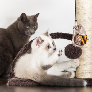 Pet Pal 6-Tier Cat Tree Tower with Cat Bed, Brown
