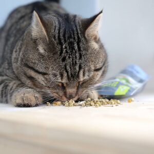 Quirky Kitty Kitty Chill North American Catnip with Chamomile Blend Cat Treats - 0.5oz