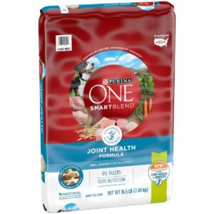 Purina ONE Joint Health Dry Dog Food - 16.5lbs