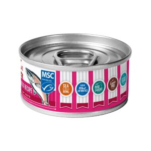 Tender & True Salmon and Sweet Potato Recipe Wet Cat Food - 24ct