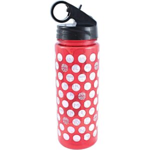 Silver Buffalo Disney Minnie Mouse 20oz Plastic Water Bottle w/ Screw Lid
