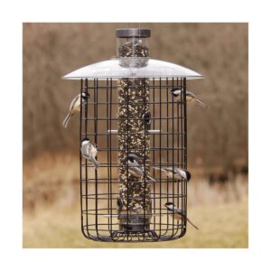 Droll Yankees Sunflower Domed Cage Shelter Feeder - Silver