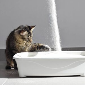 Petfive Brands Garfield Ultimate Clump Multi-Cat Litter - 10lb