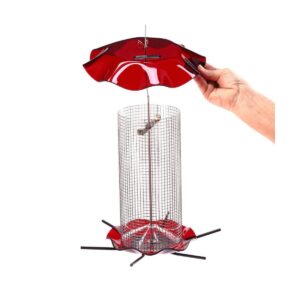 Birds Choice 3qt Forever Black Oil Sunflower Bird Feeder - Red