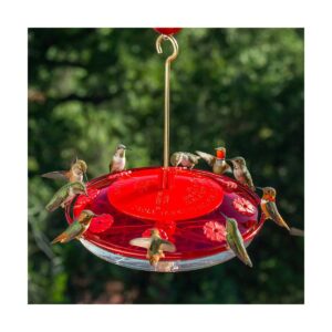 Droll Yankees Happy Eight 2 Hummingbird Feeder - White & Red