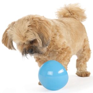 Planet Dog Orbee-Tuff Snoop Dog Toy - Blue